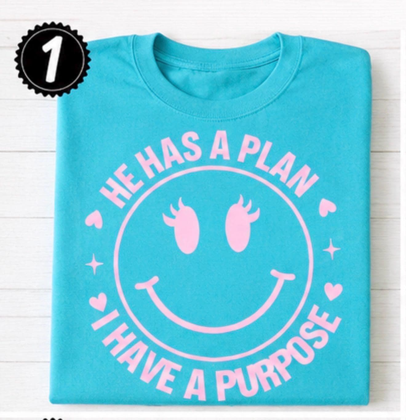 Christian Smiley Face Shirt, He Has A Plan I Have Purpose Tee