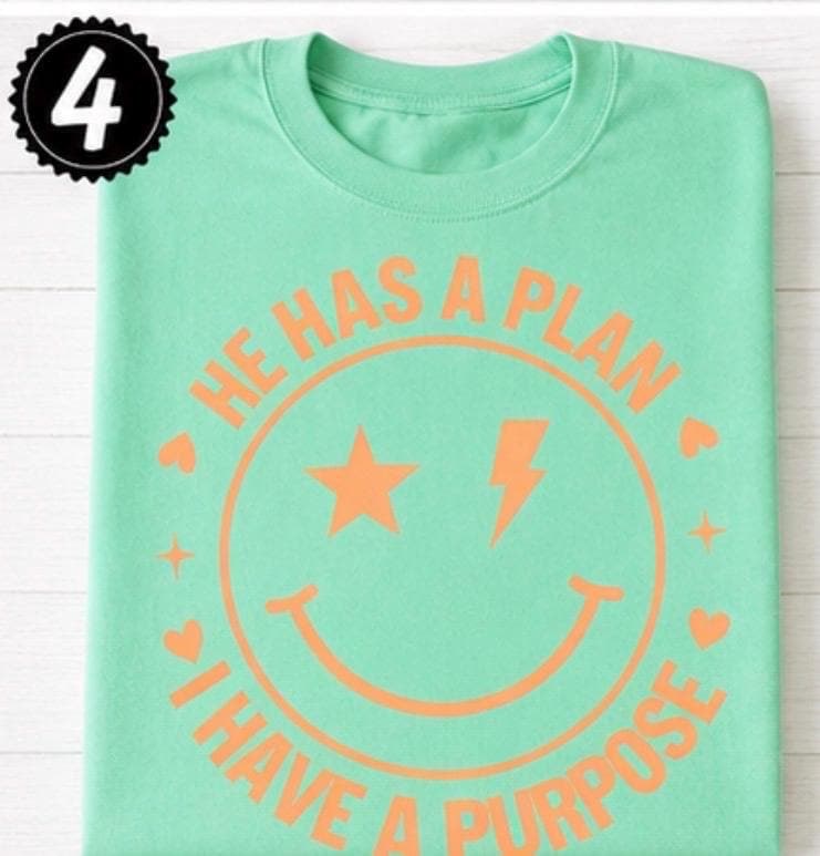 Christian Smiley Face Shirt, He Has A Plan I Have Purpose Tee, view 4