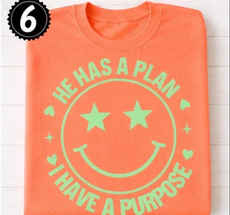 Christian Smiley Face Shirt, He Has A Plan I Have Purpose Tee, view 6