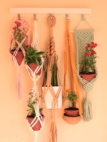 ARUGA Gift Bundle