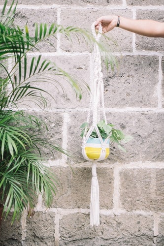 LIKHA plant holder