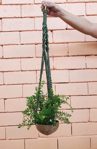 SIBOL hanging coconut shell planter