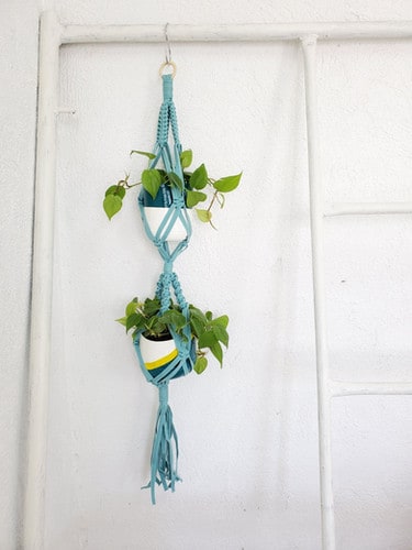SILAY double plant holder