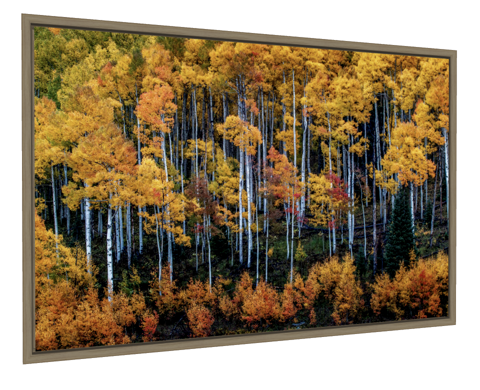 Autumn forest photograph in a natural wood frame