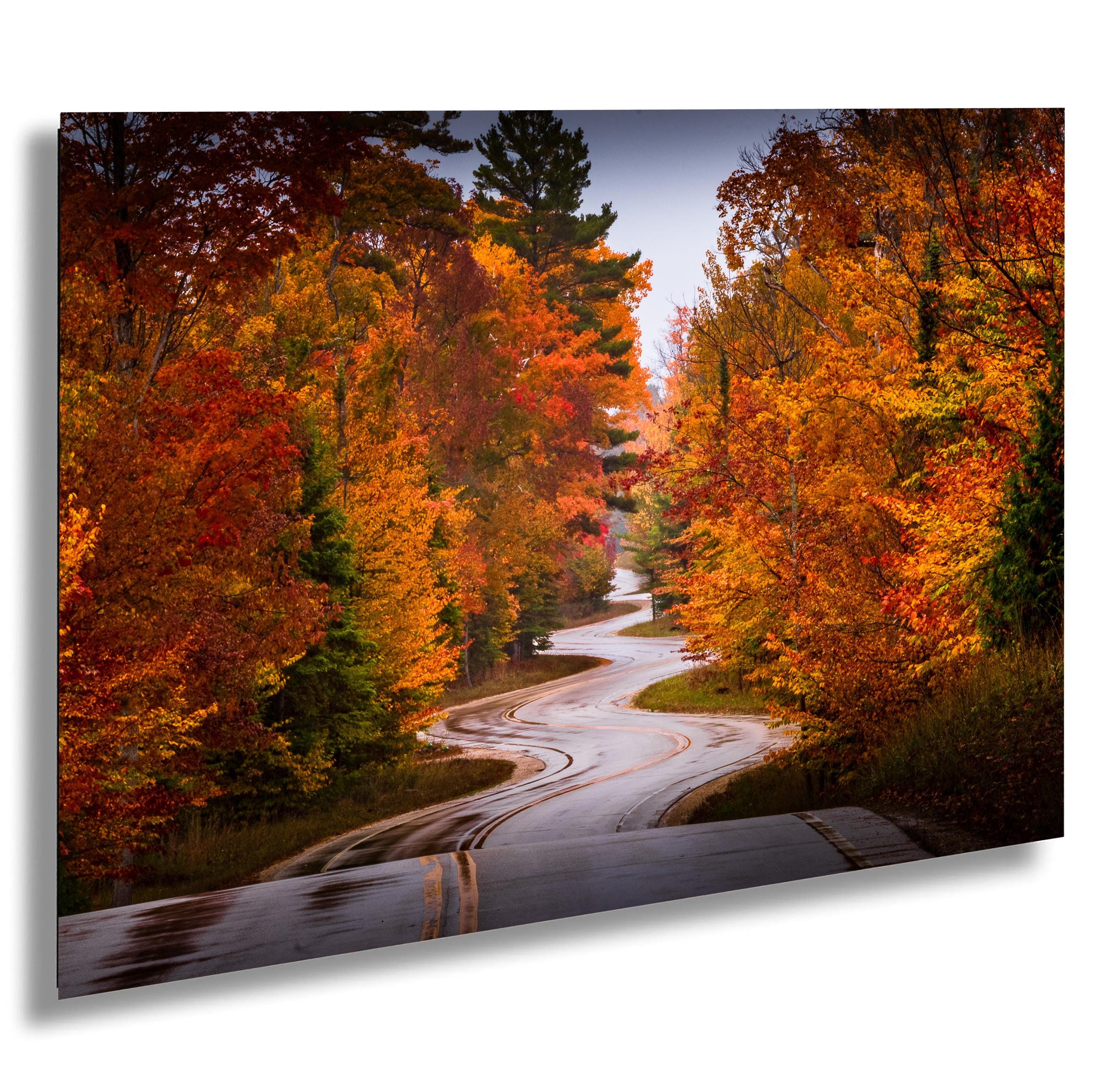 Jens Jenson Road in Autumn Rain, Door County, Wisconsin - Canvas/Paper/Acrylic/Metal