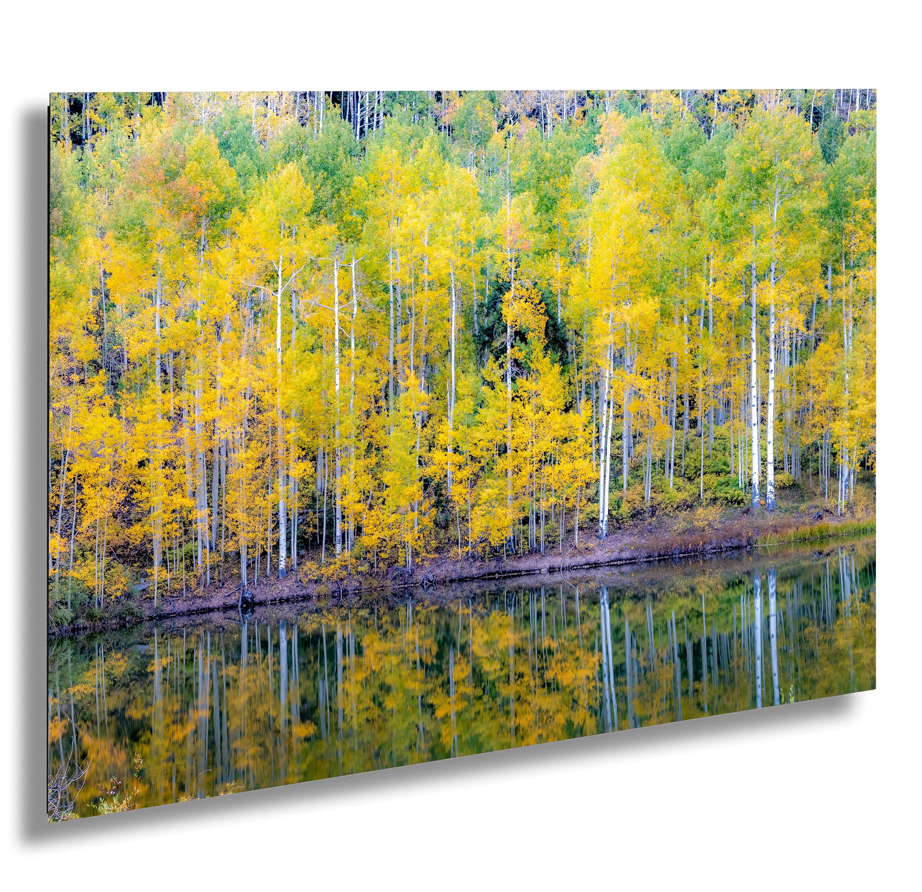 Colorado Aspen Reflection – Fall Foliage by Mountain Pond near Placerville, Fine Art Nature Photography Print, Autumn Wall Art, Cabin Decor