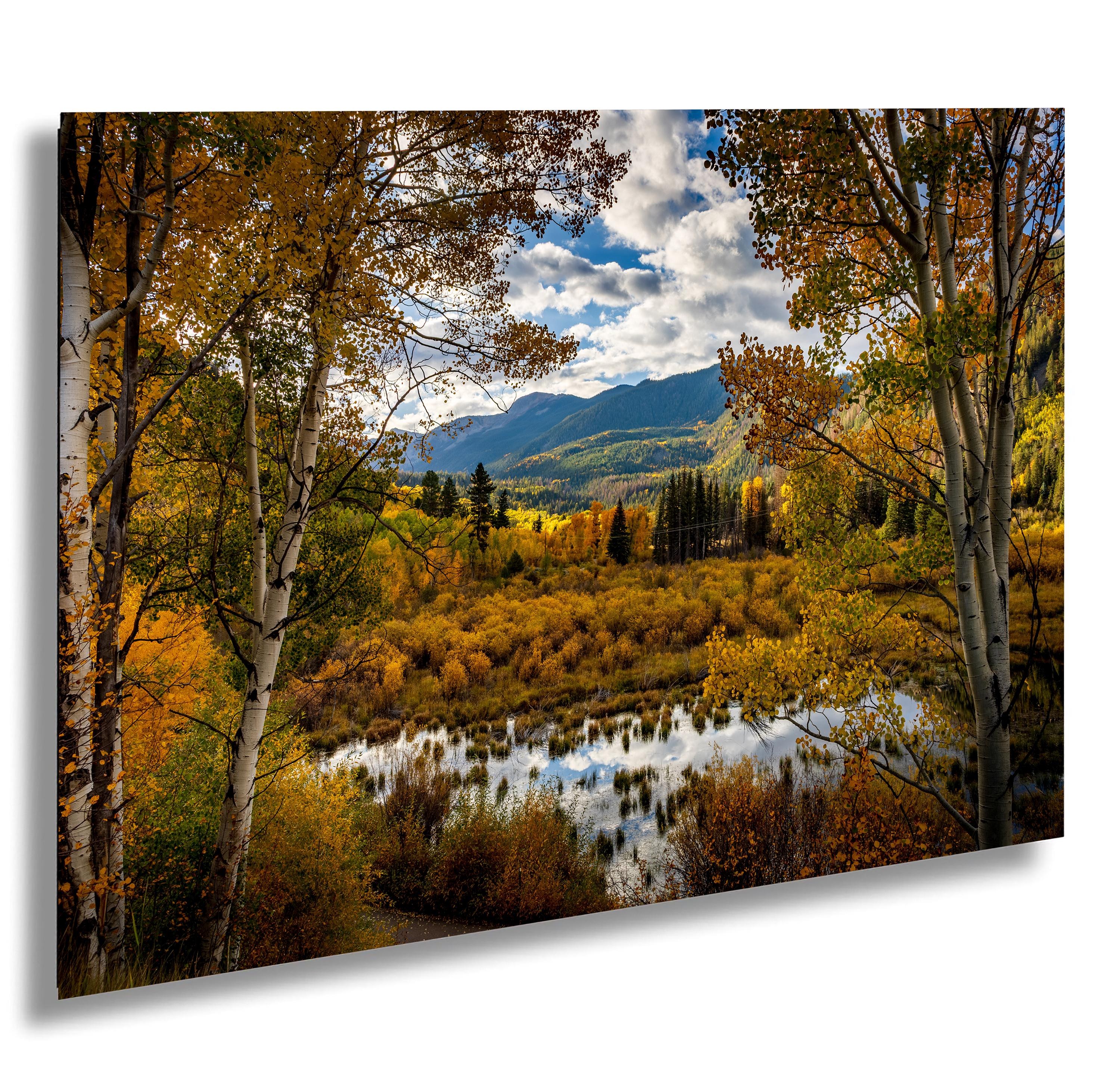 Independence Pass Fall Foliage – Aspen Colorado Landscape Photography Print – Golden Aspens and Mountain View Wall Art for Rustic Décor