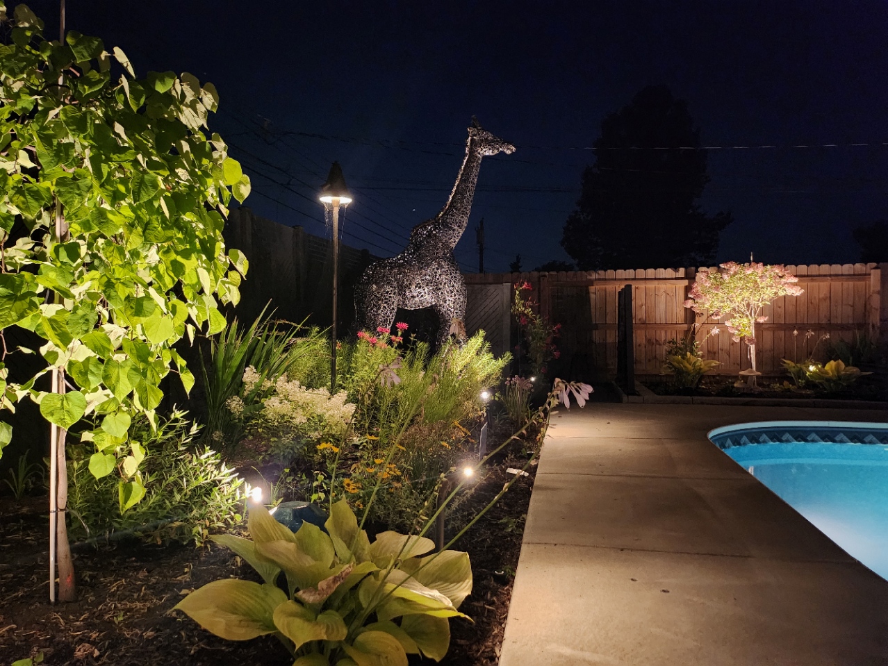 Poolside garden illuminated at night