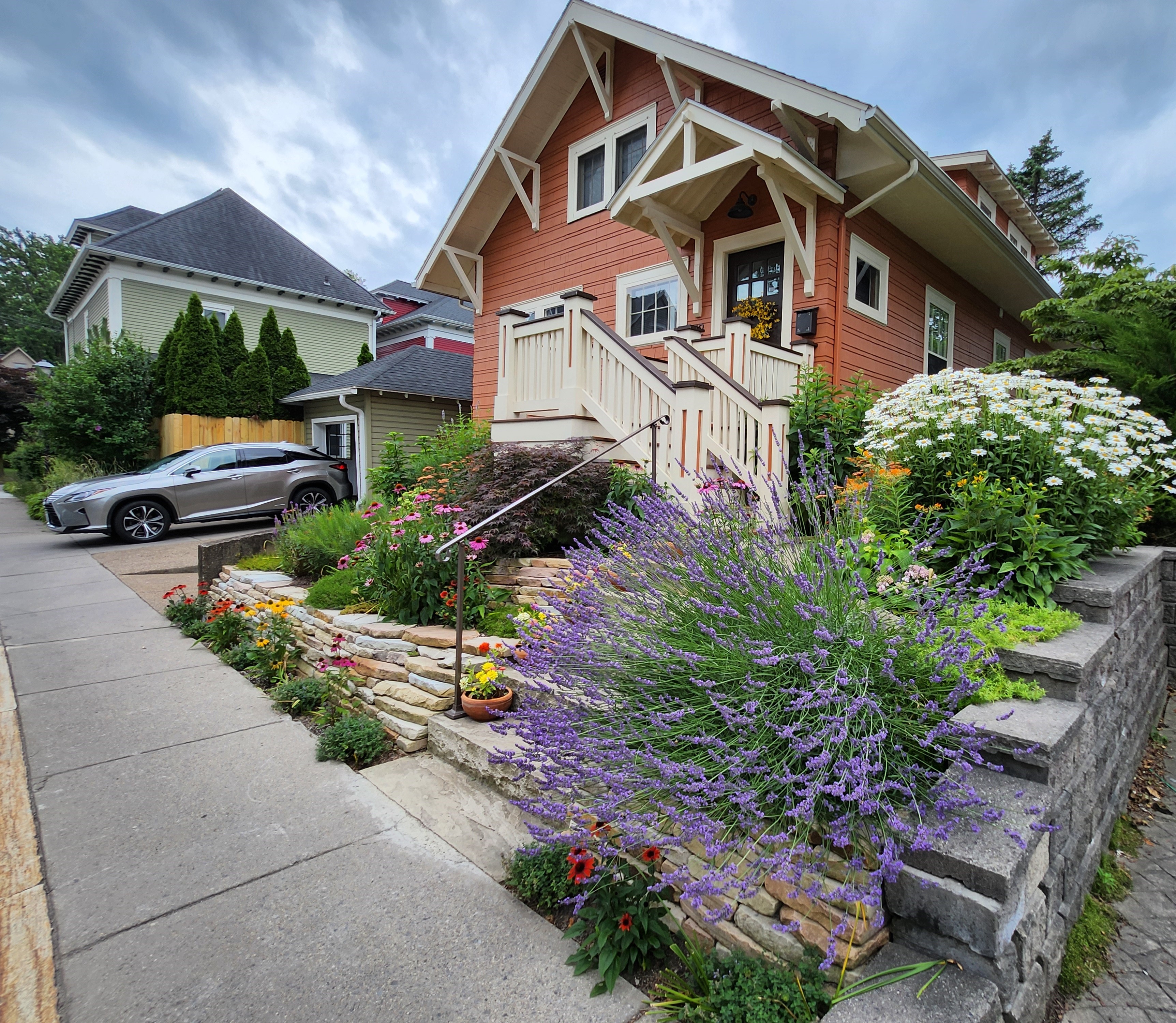 Cottage garden planting beside stone steps
