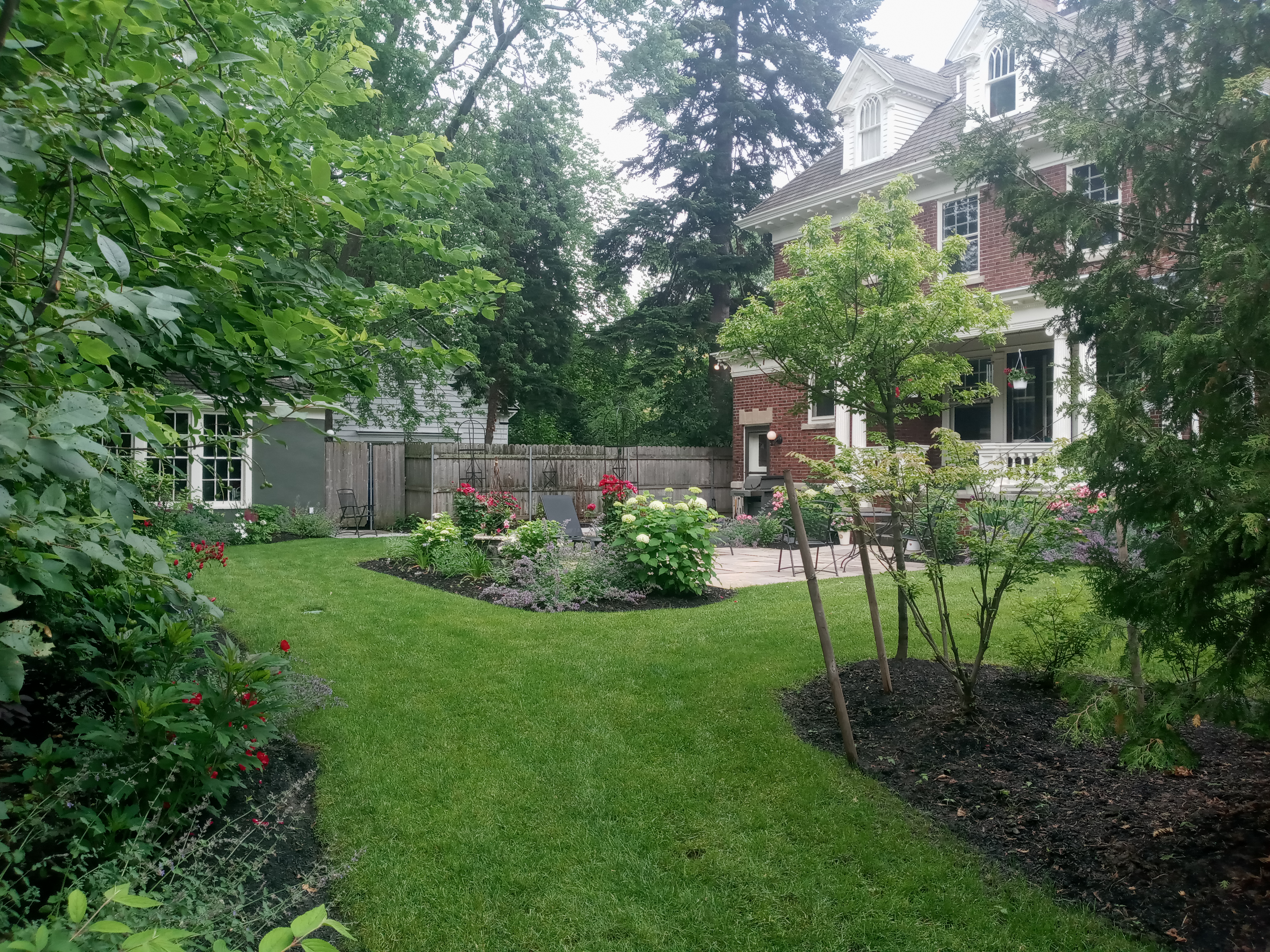 A leafy Buffalo garden and lawn designed by Gaelic Clover