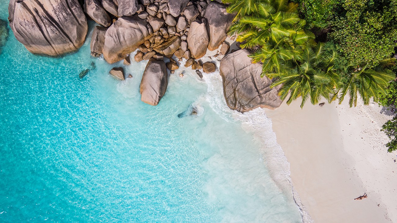 Caribbean