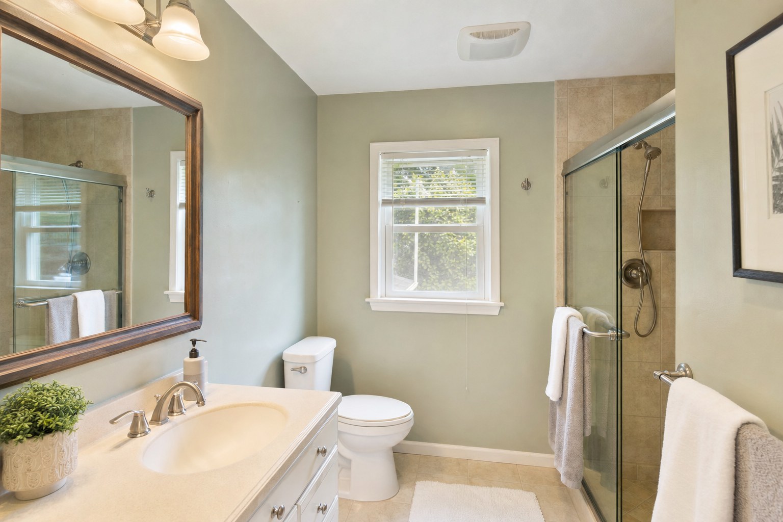 Tidy freshly painted bathroom ready for gentle first use