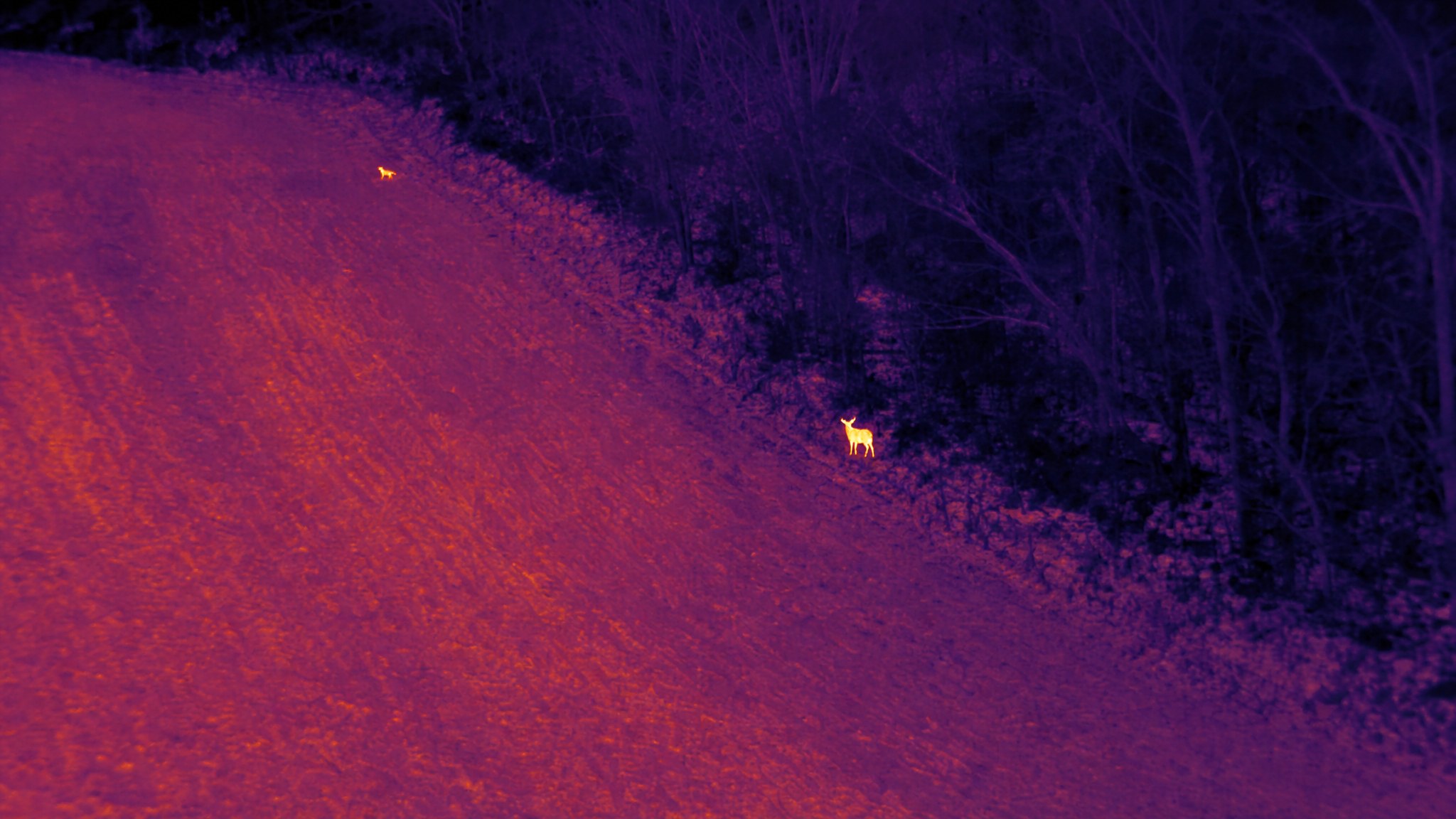 Thermal search + recovery