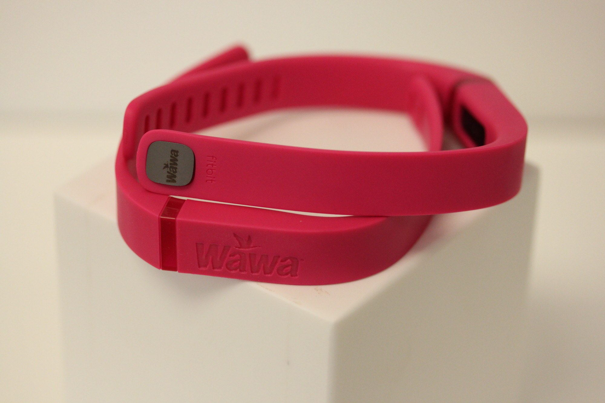 Custom Fitbit Flex