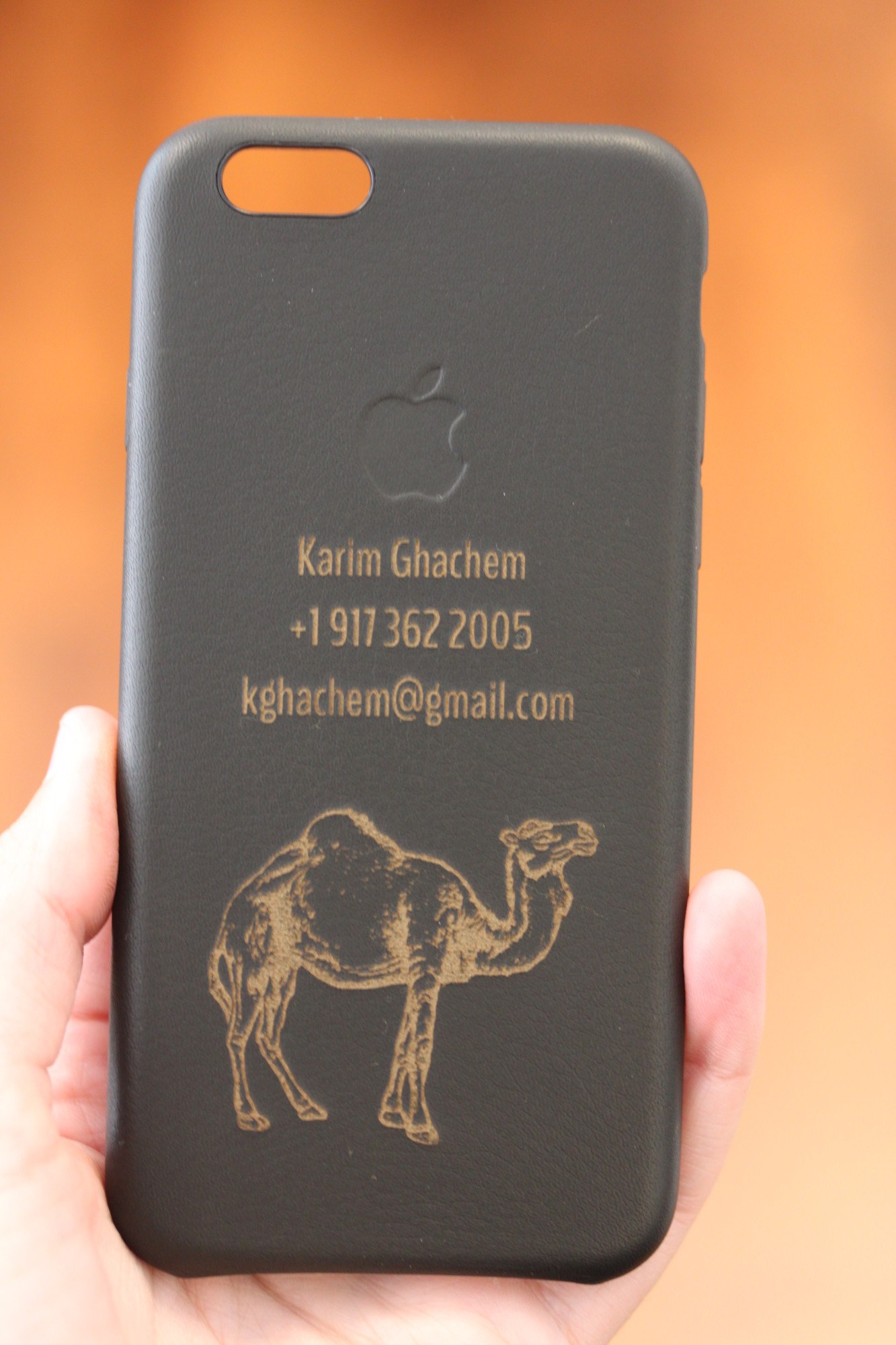 Laser Engraved iPhone 6 case