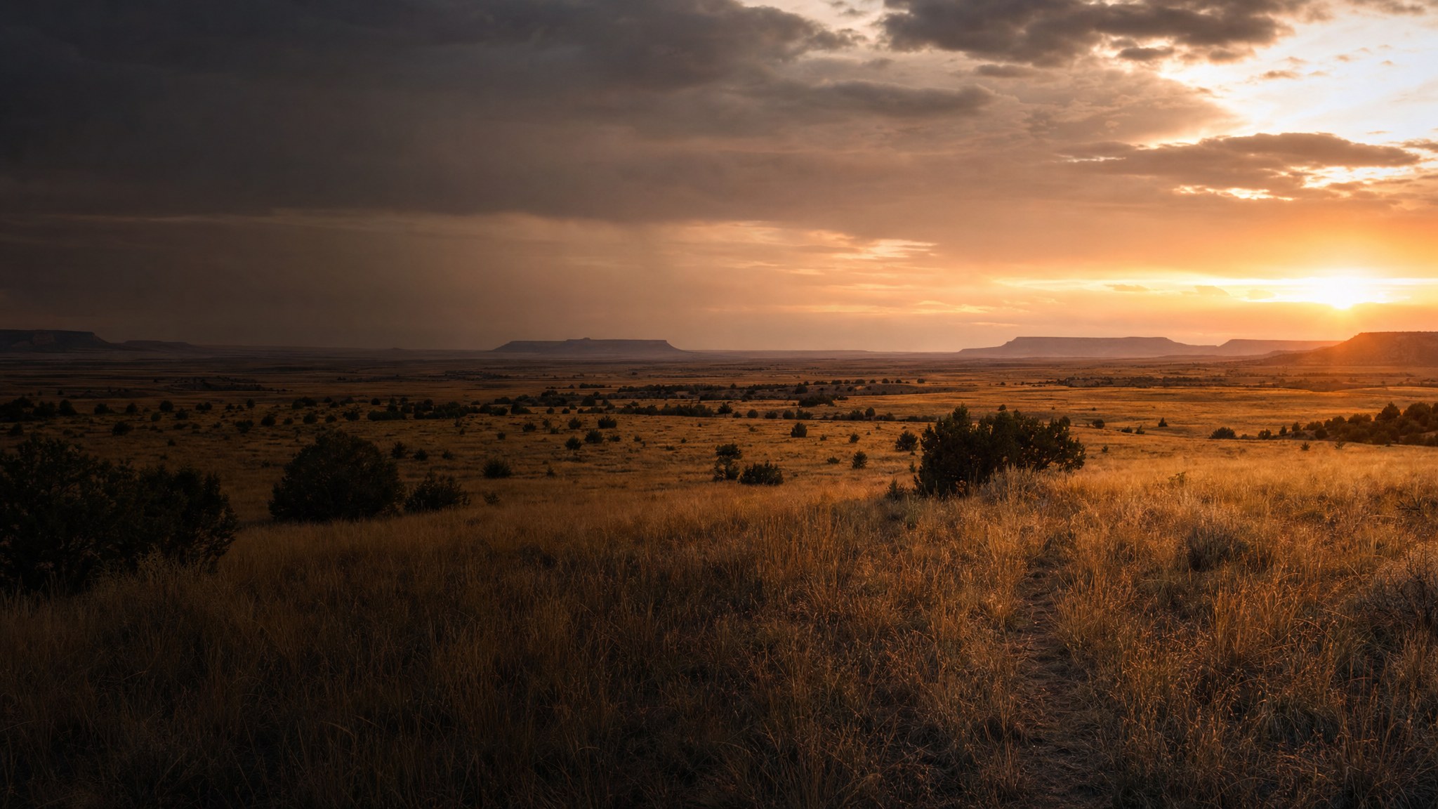Wide view across ranch country