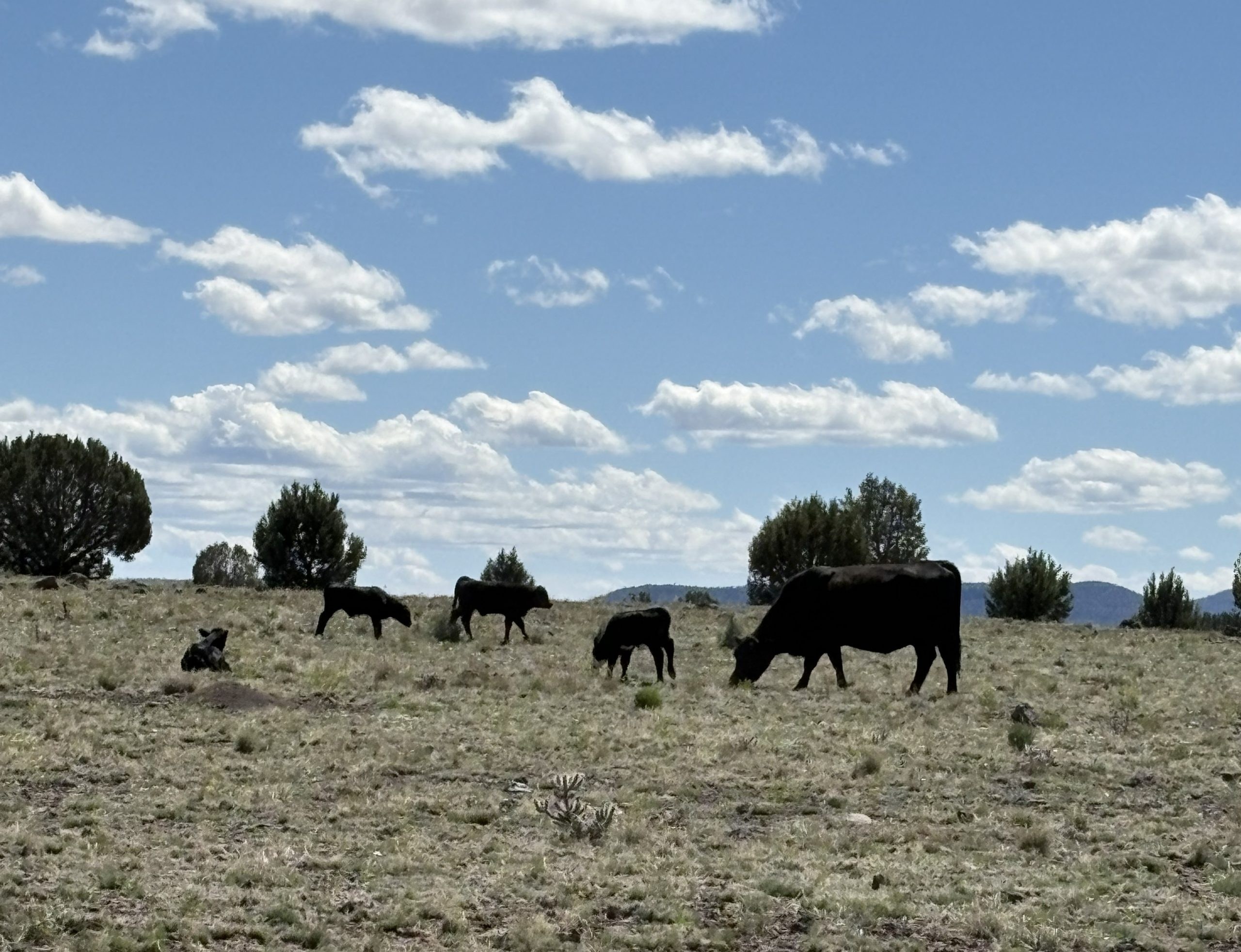 8 Mile Ranch property