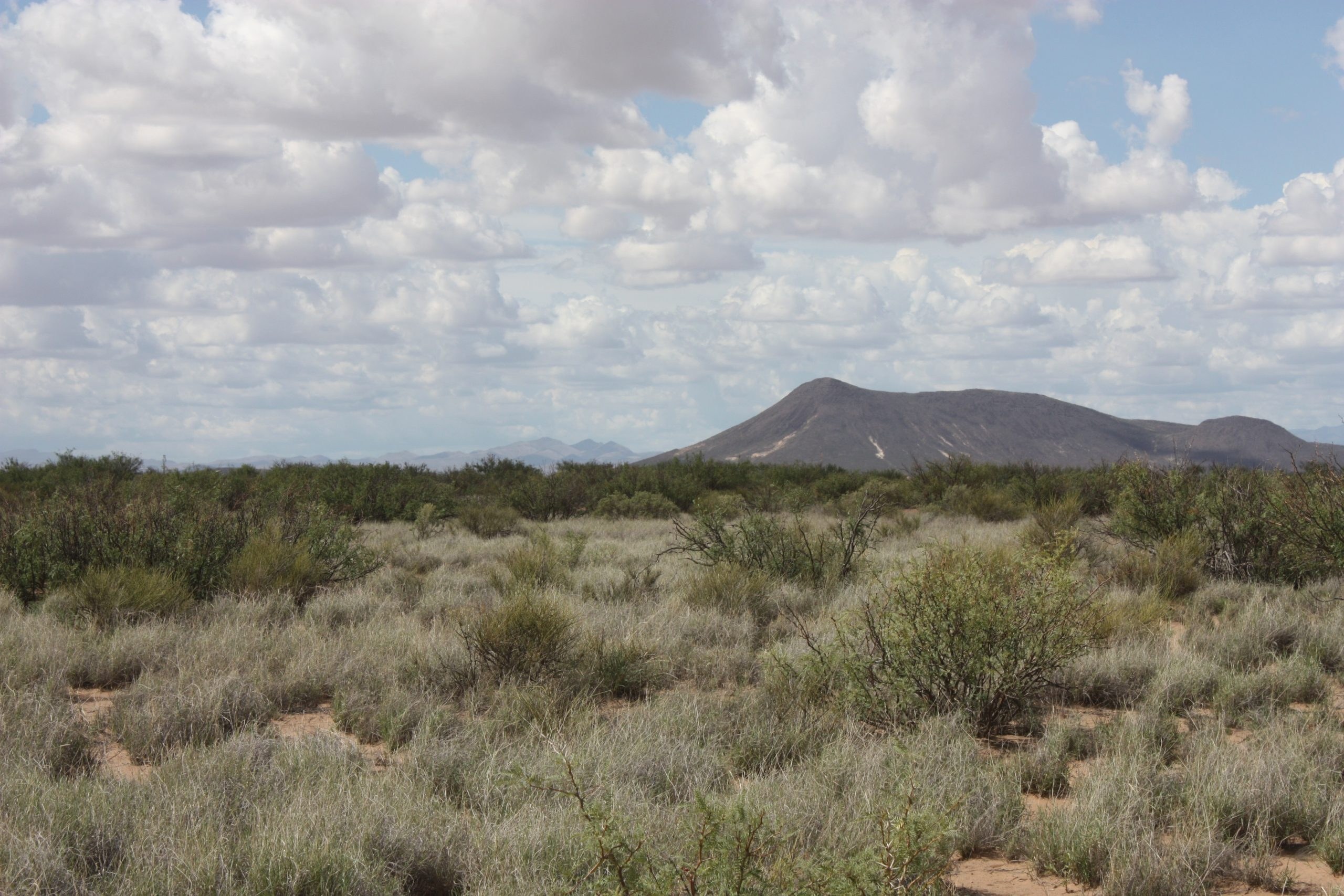 Black Mountain – SOLD property