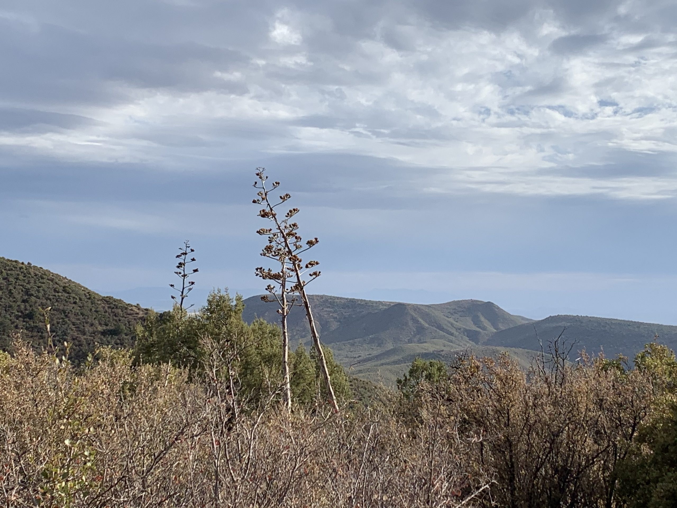 Bottle Ranch – SOLD ranch property