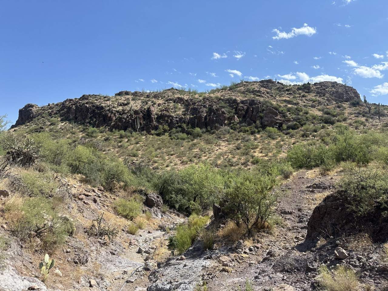 Buckhorn Ranch – SOLD property