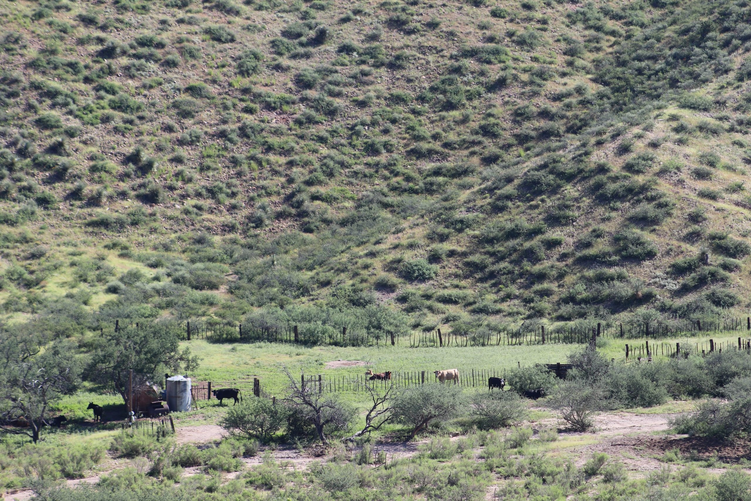 Cottonwood Springs Ranch – SOLD ranch property