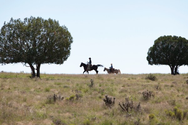 End of the Road Ranch – SOLD ranch property