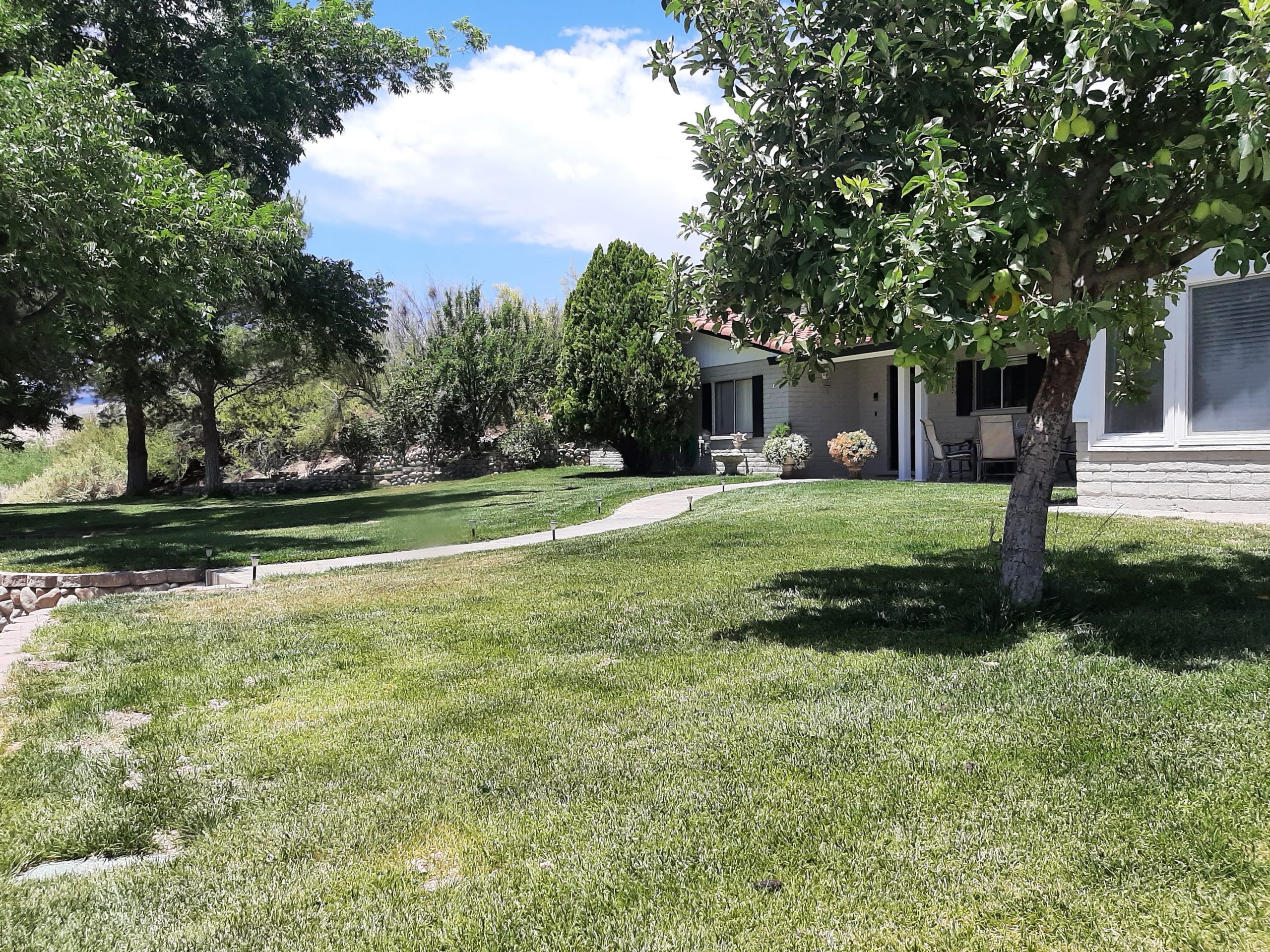 Grey Falcon Springs – SOLD ranch property