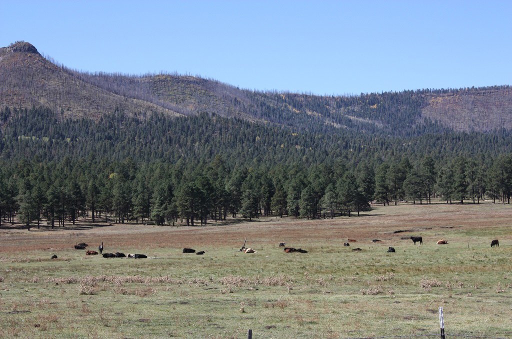 Historic Judd Ranch – SOLD property