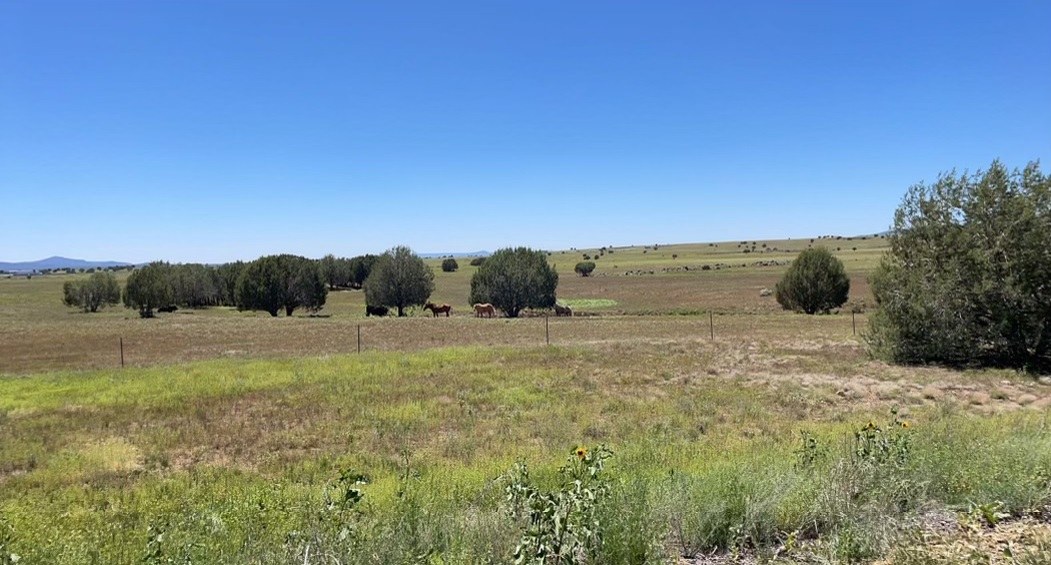 Horse Stud Ranch – SOLD property