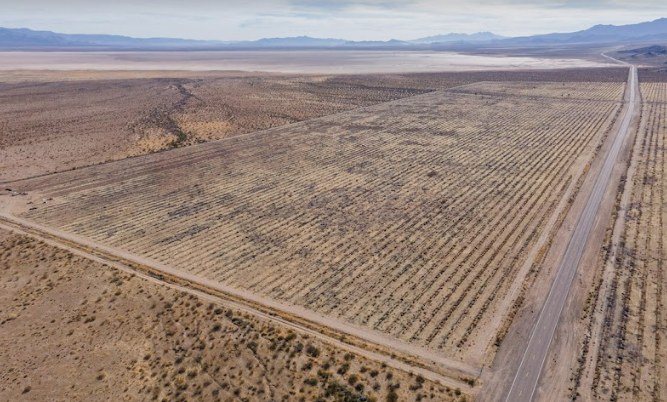 Kingman Farm – SOLD property