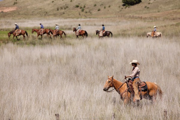 Little Black Mountain – SOLD ranch property