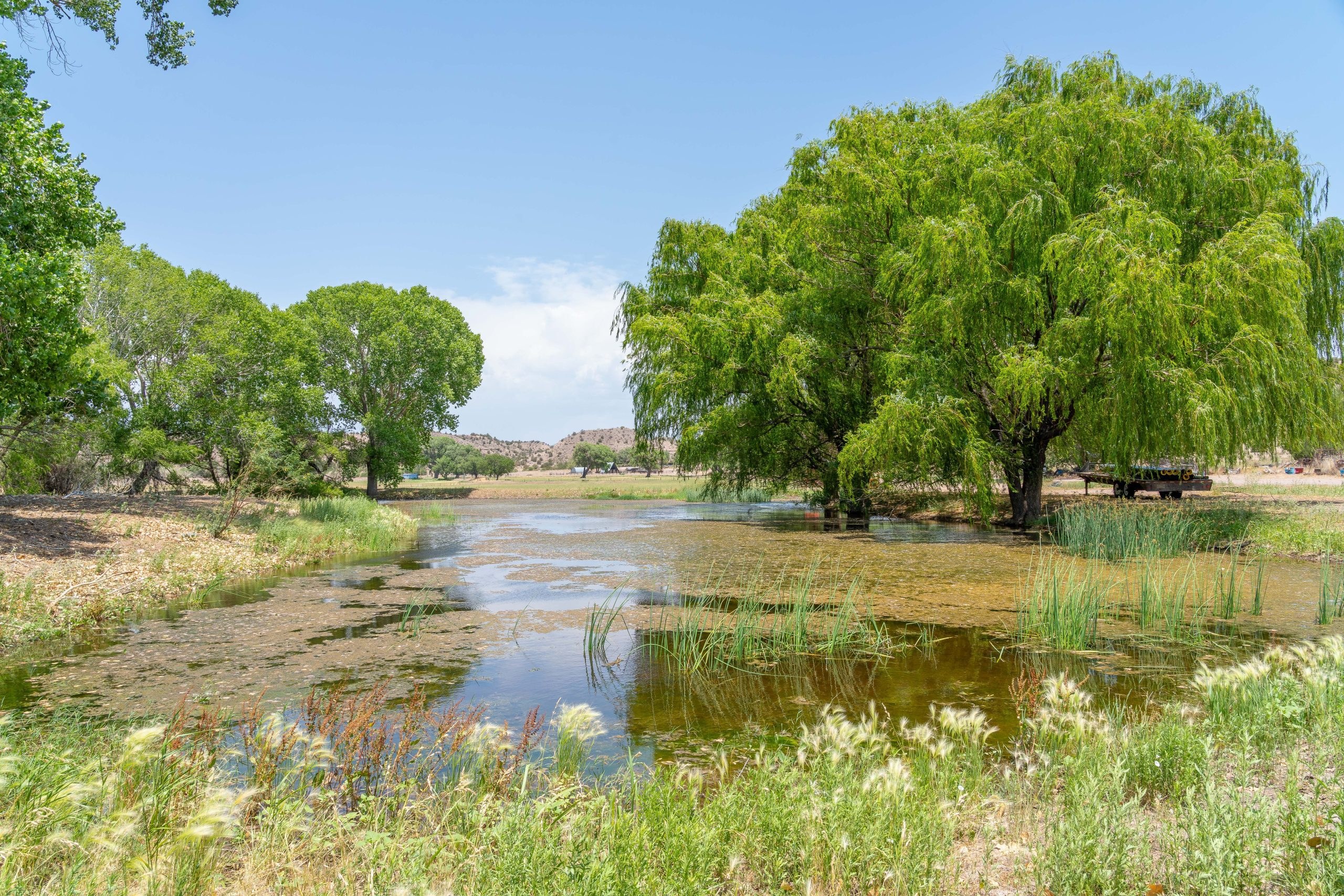 McKeen Farm & Ranch ranch property