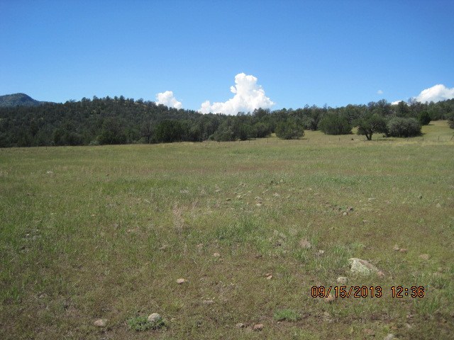 Middle Prong Ranch – SOLD ranch property