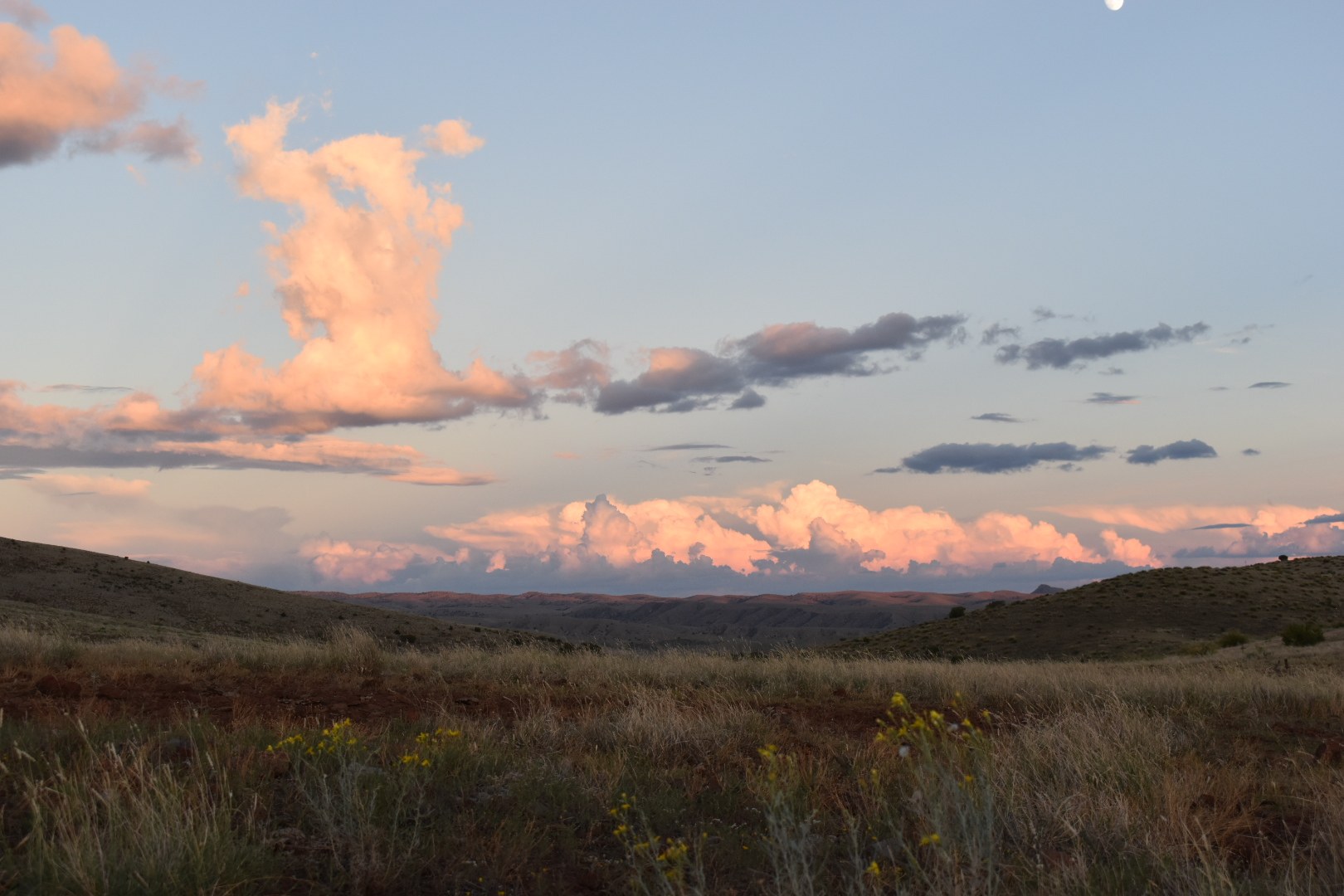 Mimbres River Farm and Ranch ranch property