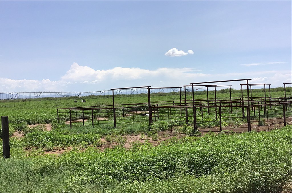 The Moore Farm – SOLD property