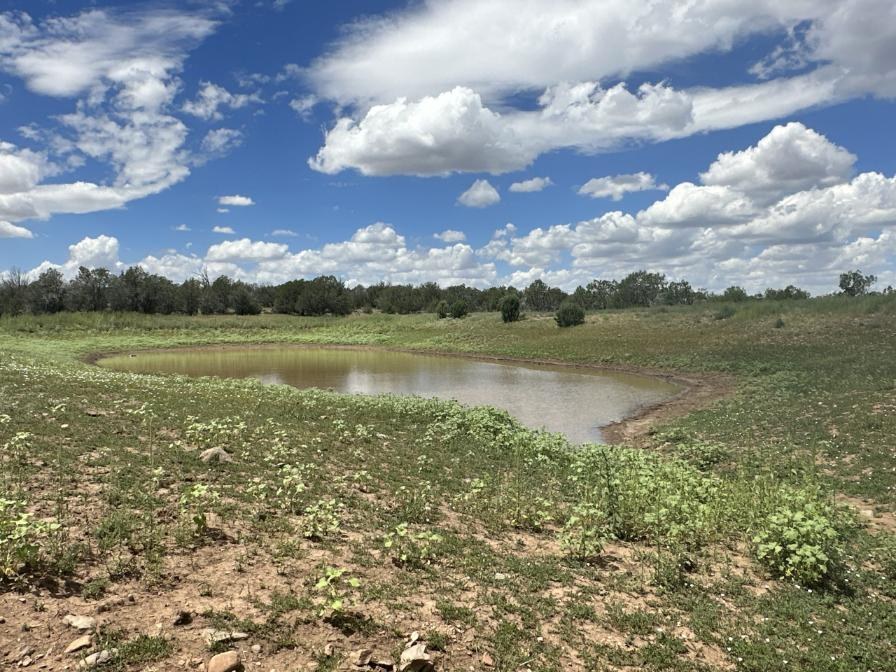 The Randall Ranch -SOLD ranch property