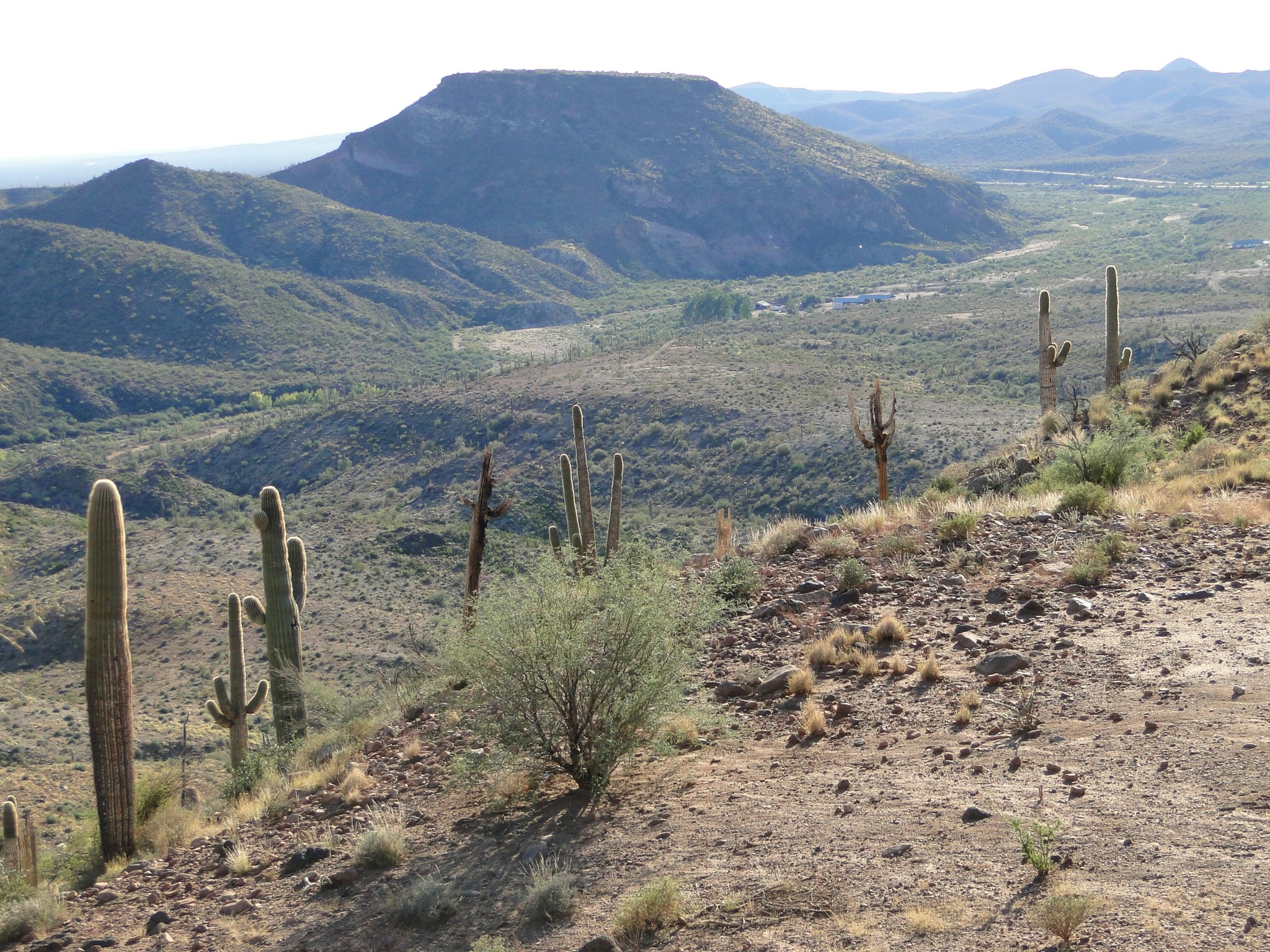 TT Ranch – SOLD property
