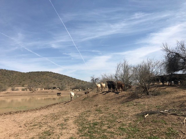 West Clem Ranch – SOLD property