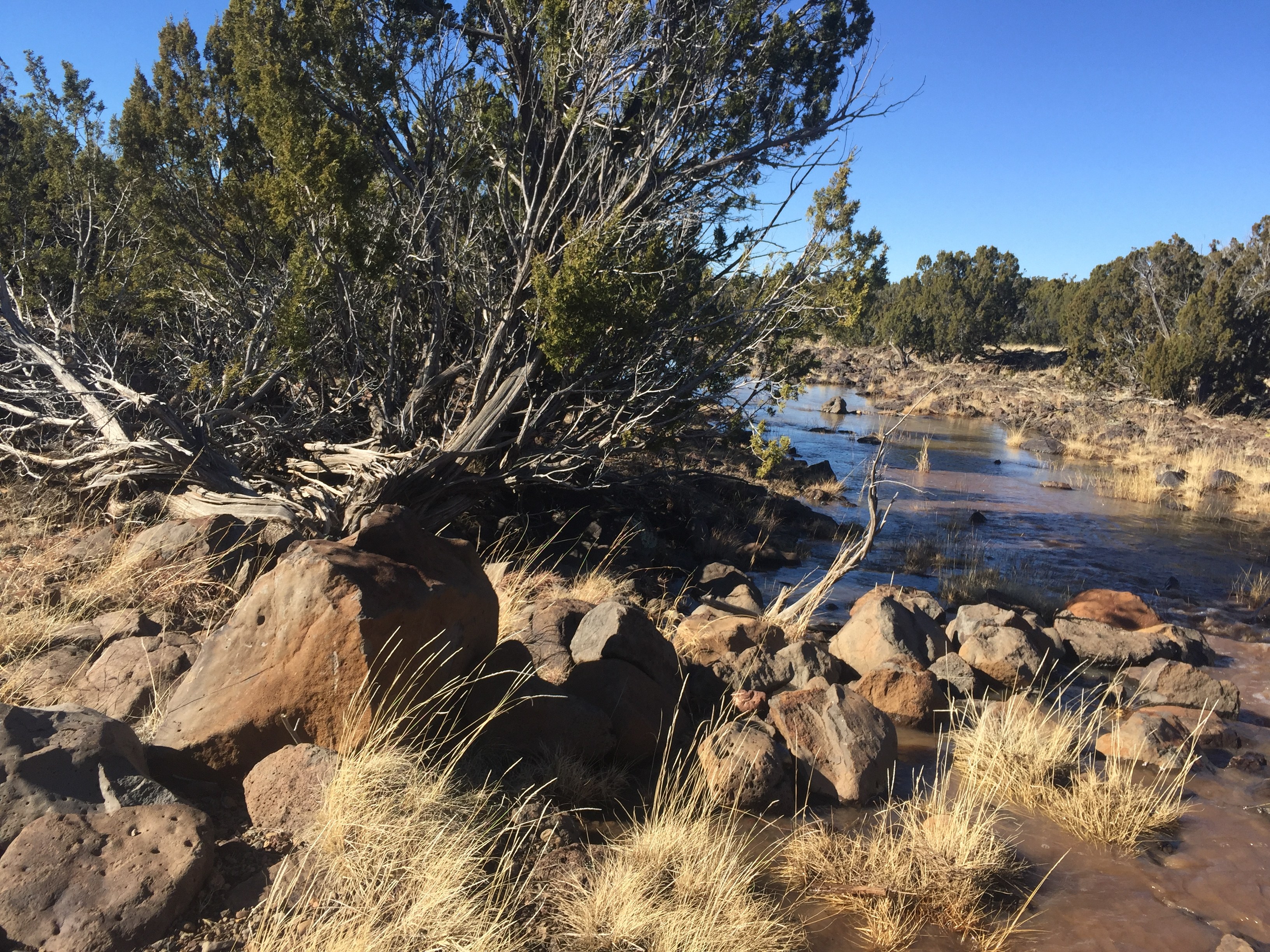 White Mountain Ranch – SOLD property