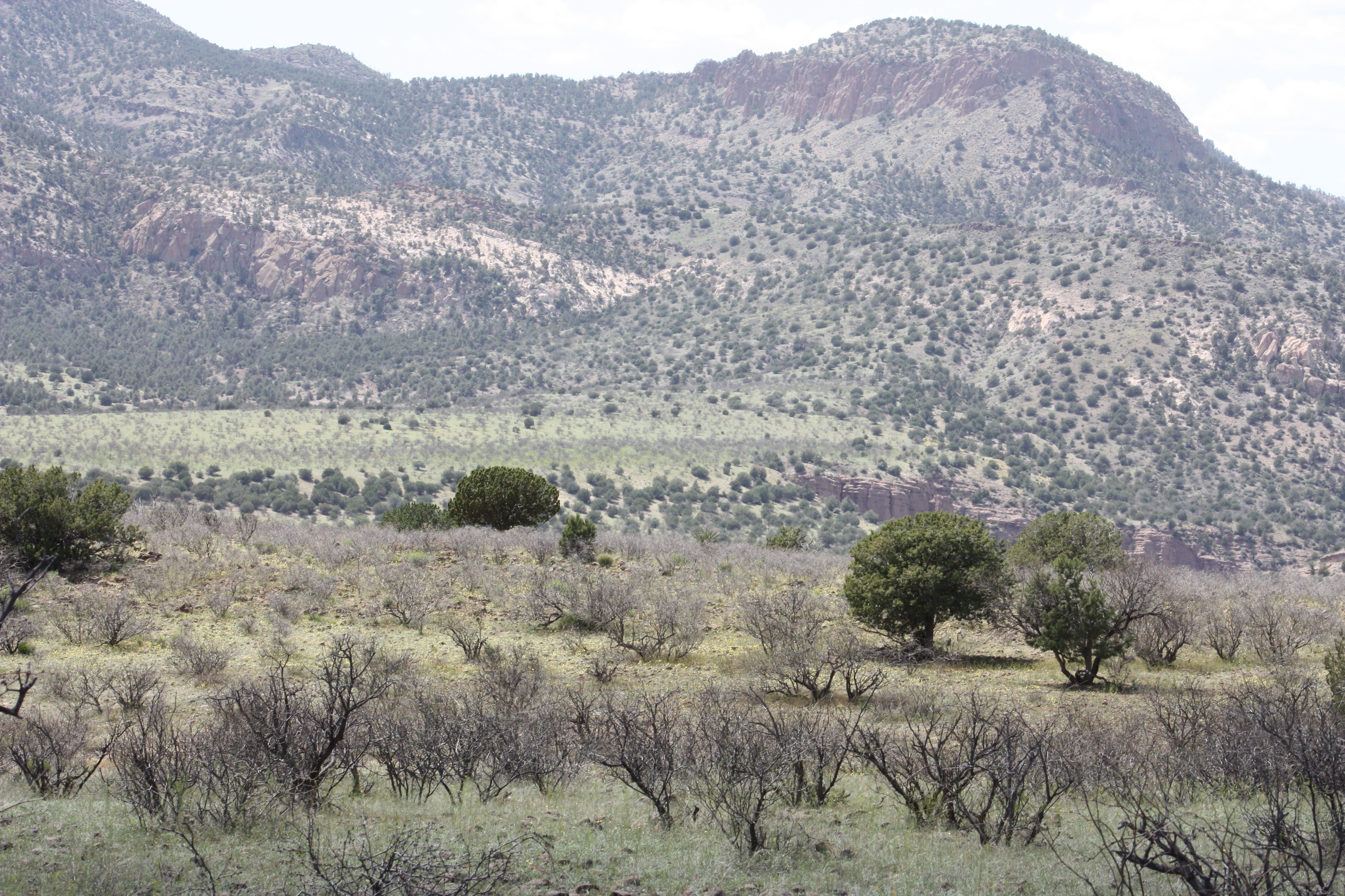 Wild Bunch Ranch – SOLD property