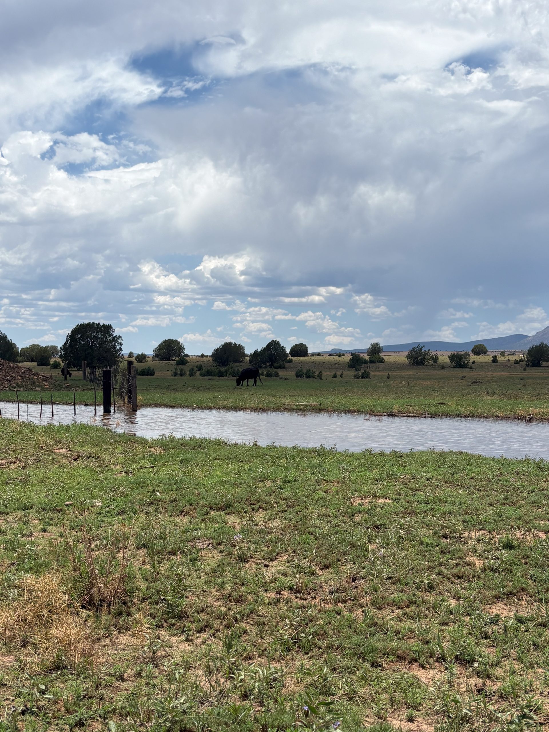 8 Mile Ranch, property photo 5