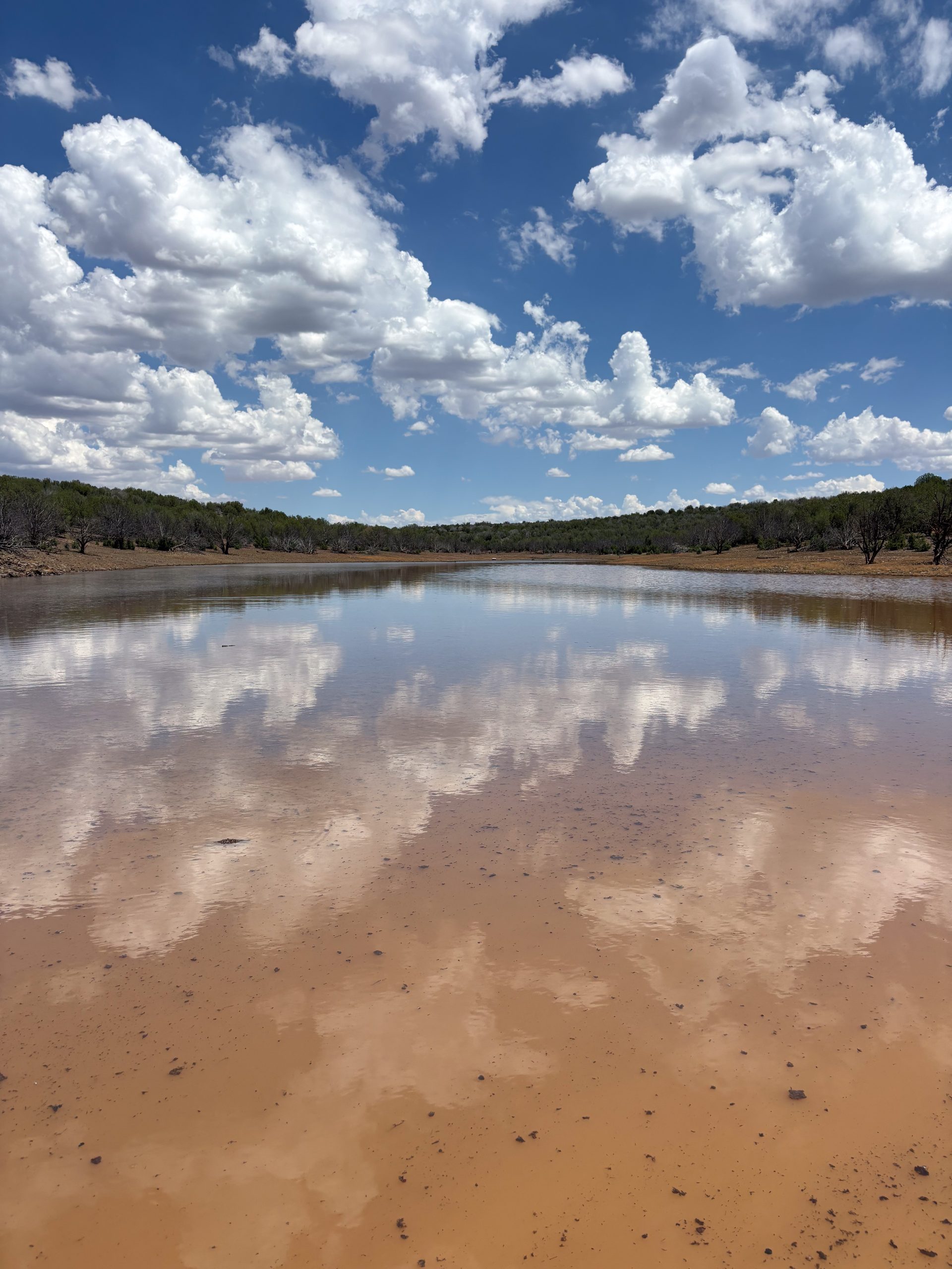 8 Mile Ranch, property photo 7