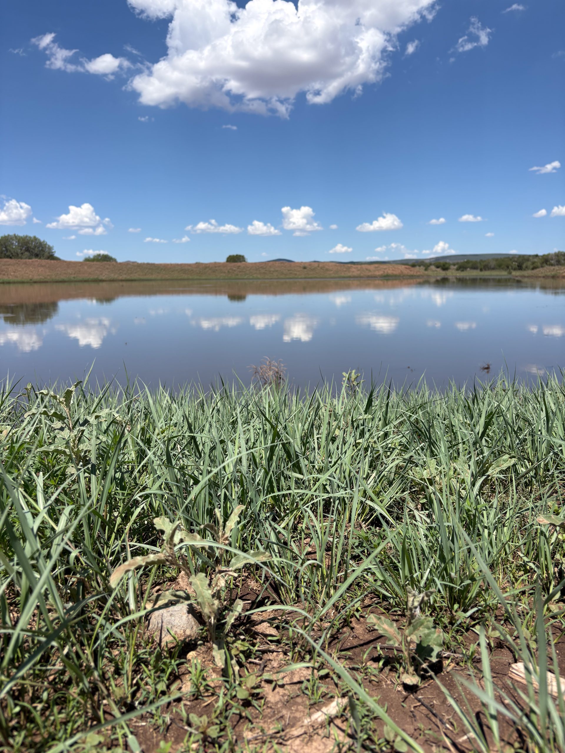 8 Mile Ranch, property photo 2