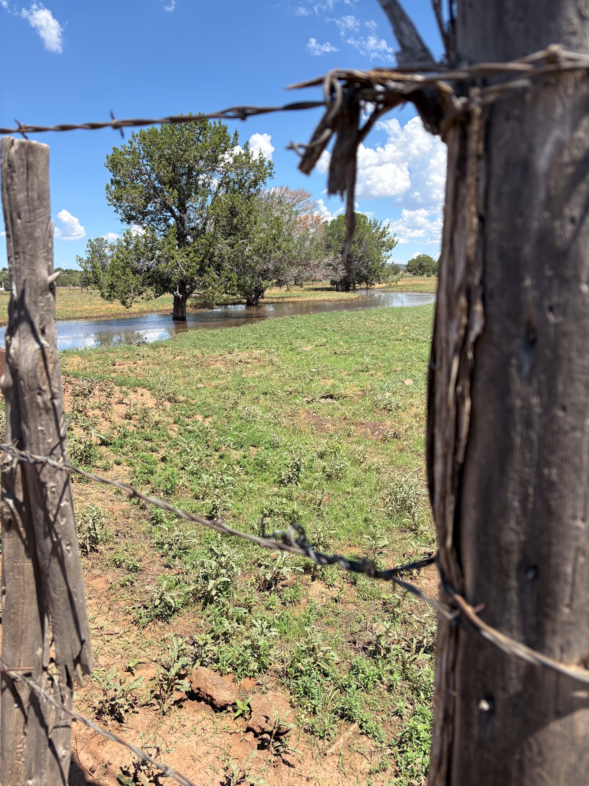 8 Mile Ranch, property photo 3