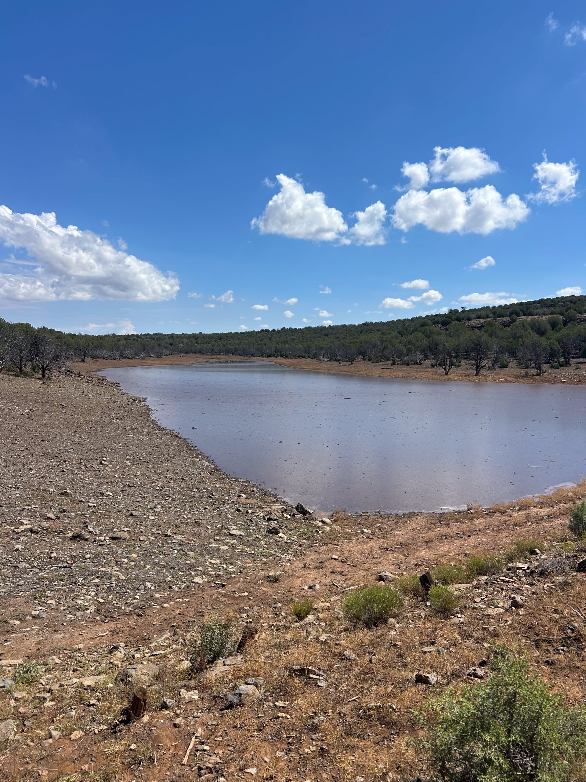 8 Mile Ranch, property photo 4