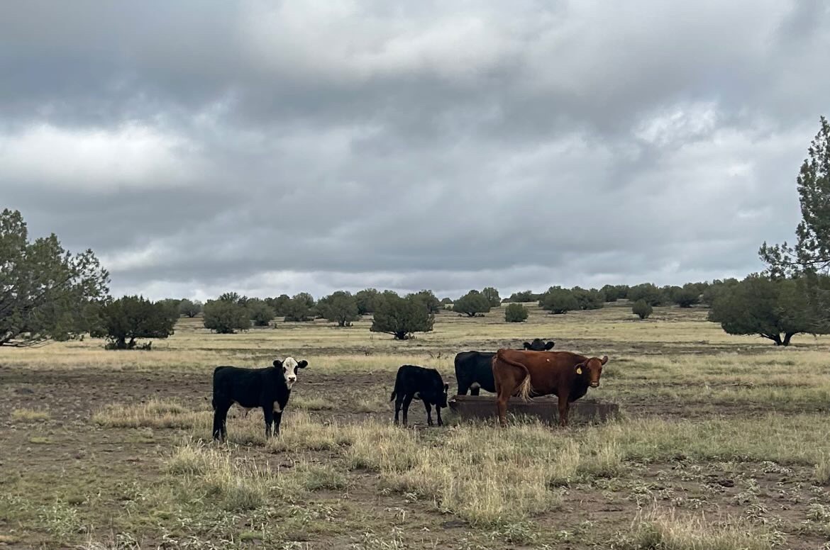 8 Mile Ranch, property photo 1