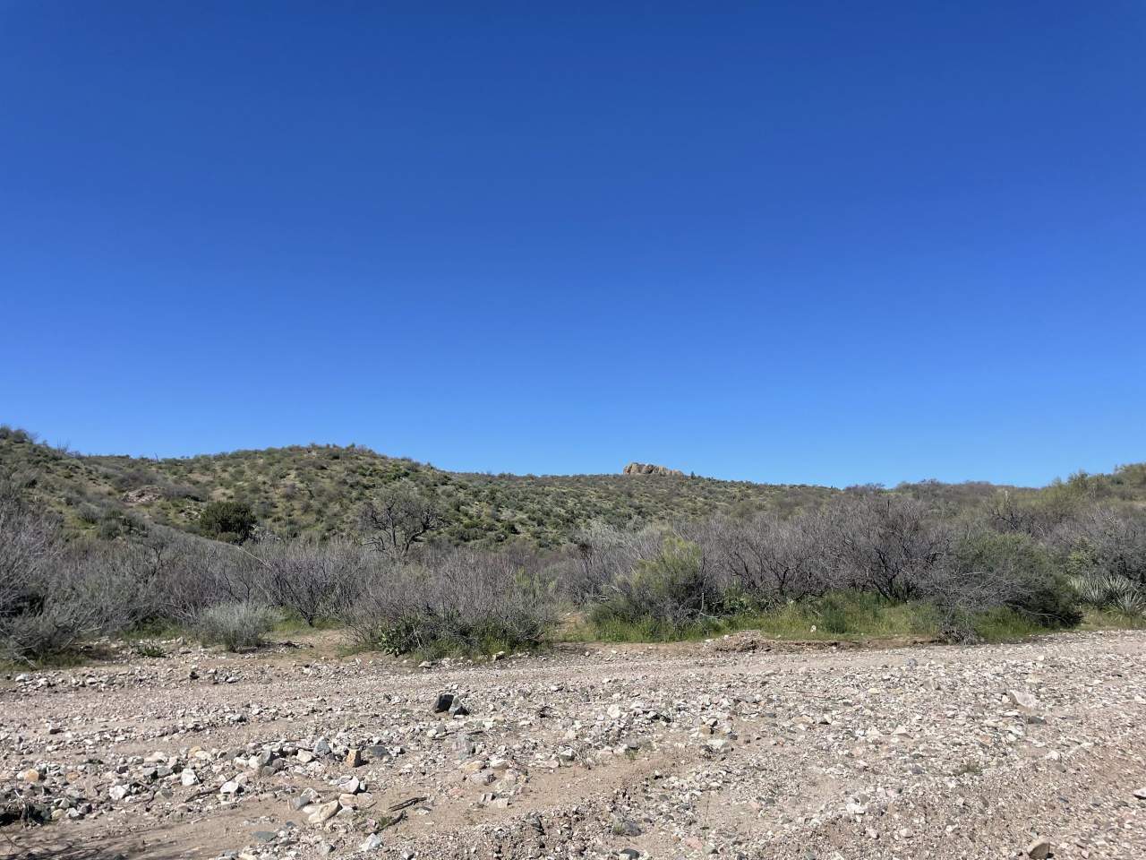 Buckhorn Ranch – SOLD, property photo 5