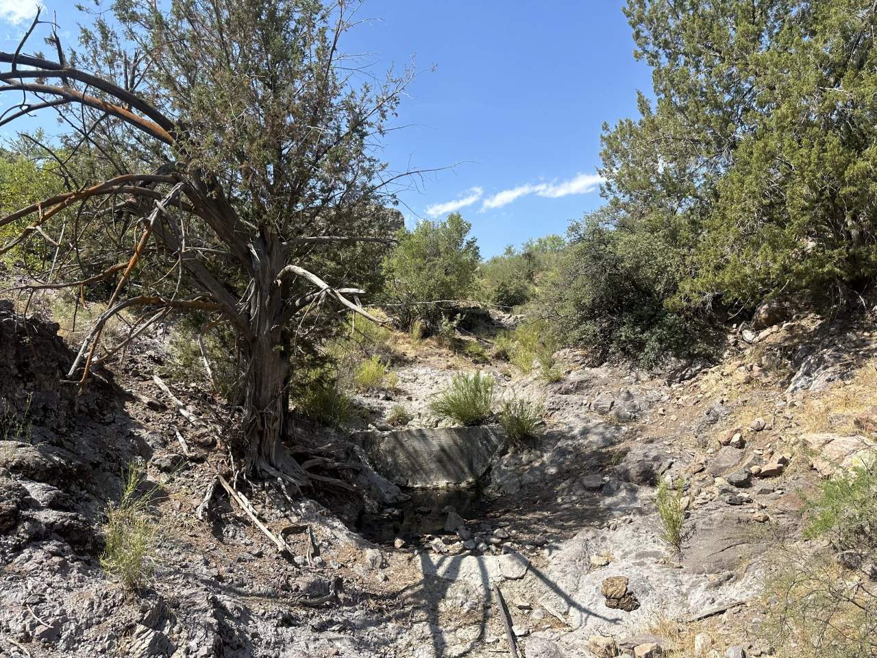 Buckhorn Ranch – SOLD, property photo 1