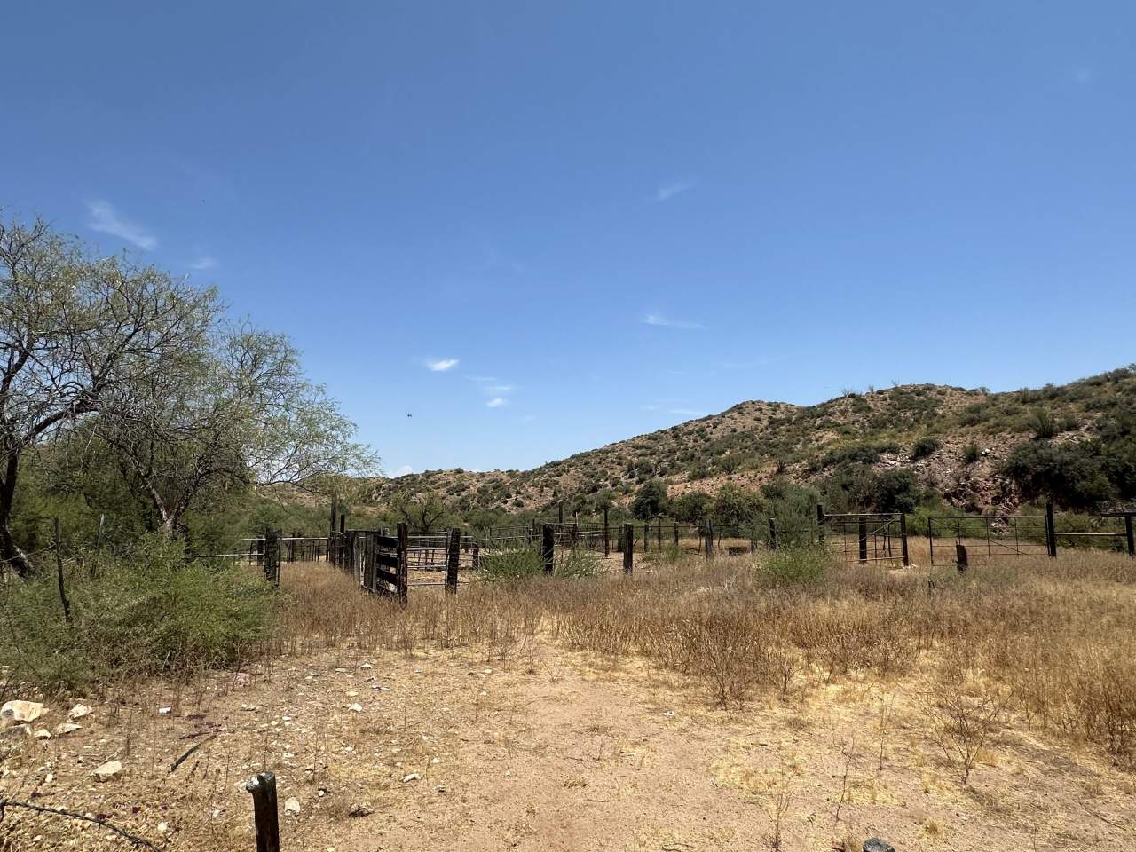Buckhorn Ranch – SOLD, property photo 10