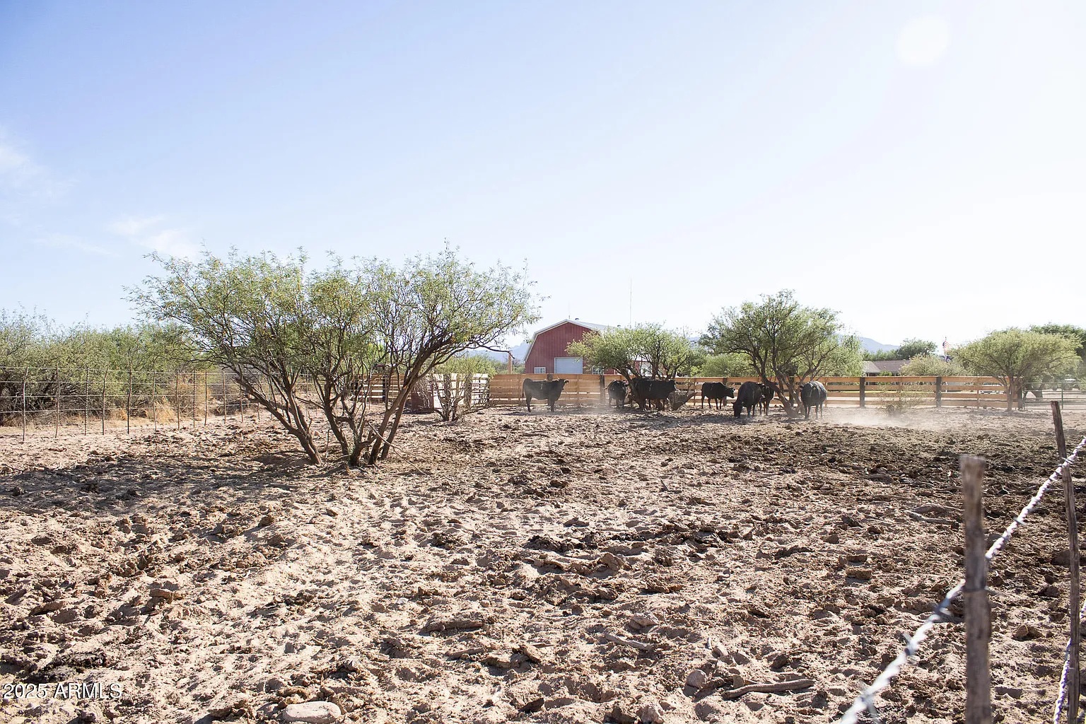 Companero Property – Saint David, Arizona – SOLD, property photo 1
